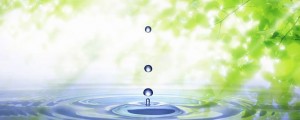 hajimari_img001