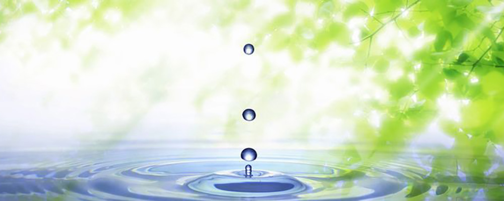 植物酵素水はじまり