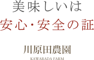 main_copy